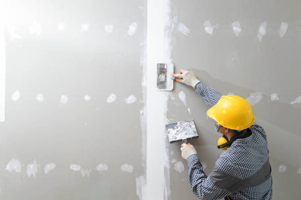 Best Real Estate Mold Inspection  in Berlin, OH