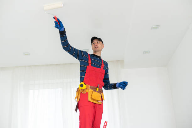 Best Dehumidification Services  in Berlin, OH