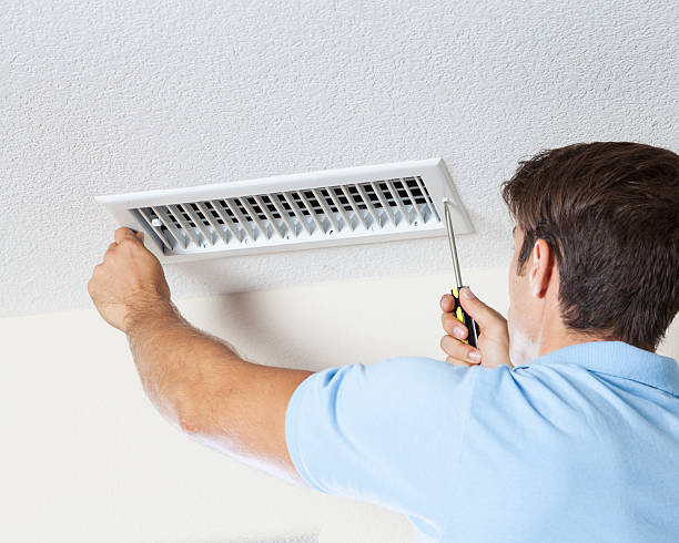 Best Basement Mold Removal  in Berlin, OH