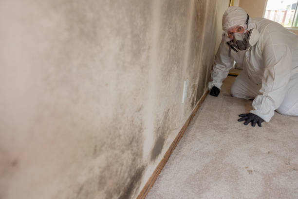 Best Crawl Space Mold Remediation  in Berlin, OH