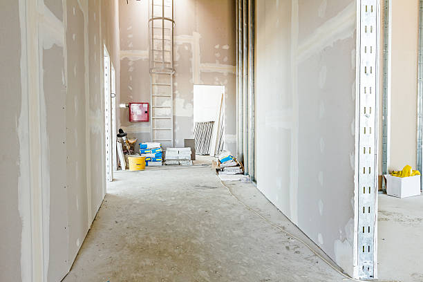 Mold Odor Removal Services in Berlin, OH