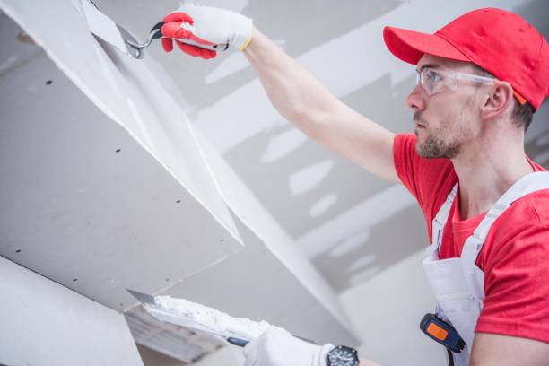 Reliable Berlin, OH Mold Removal Solutions